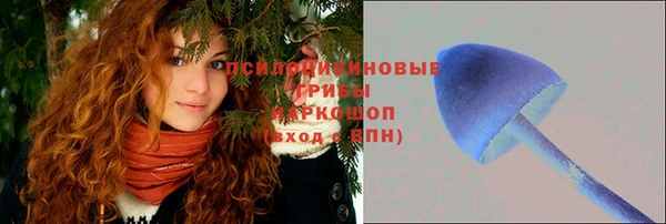 ALPHA PVP Елизово