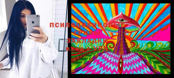 МДПВ Елабуга