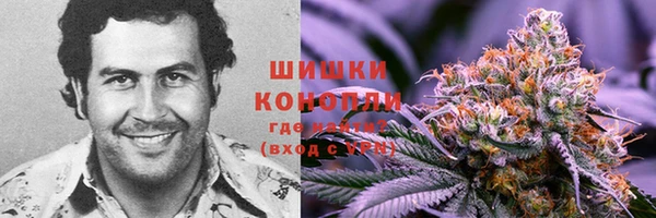 ALPHA PVP Елизово