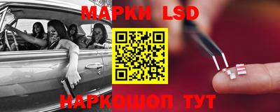 шишки Моздок