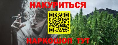 шишки Моздок