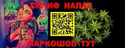 шишки Моздок