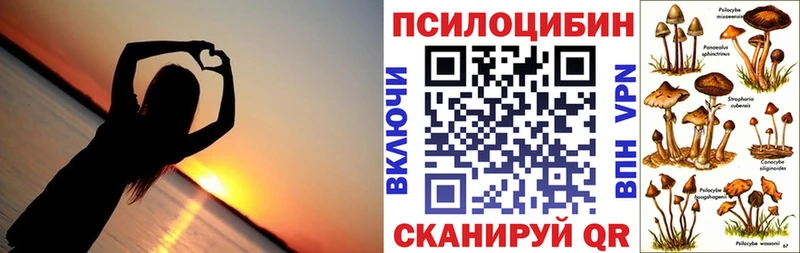 купить   Тихорецк  Псилоцибиновые грибы мицелий 