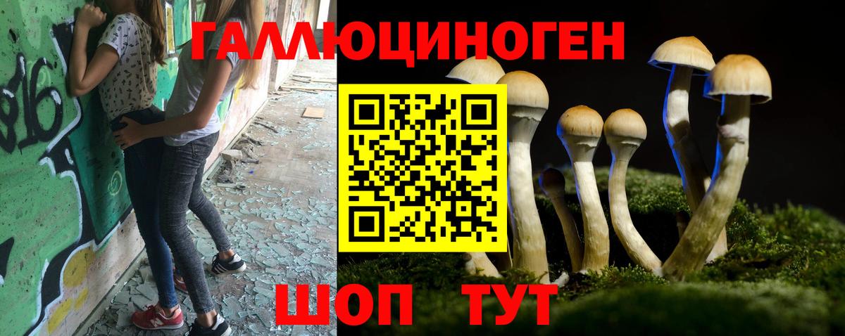 Тихорецк  Галлюциногенные грибы GOLDEN TEACHER  Галлюциногенные грибы мицелий  закладки  Вход с VPN 
