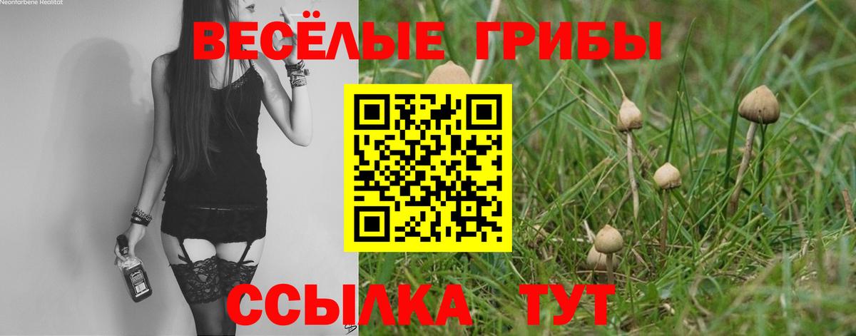 Псилоцибиновые грибы Psilocybine cubensis Тихорецк